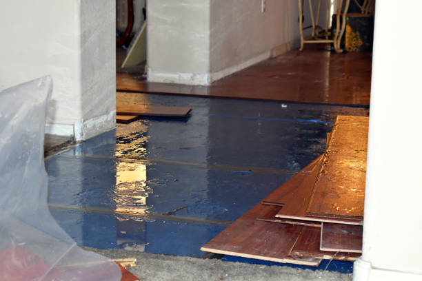 Professional Emergency Water Damage Restoration technician working in Tinsley, MS